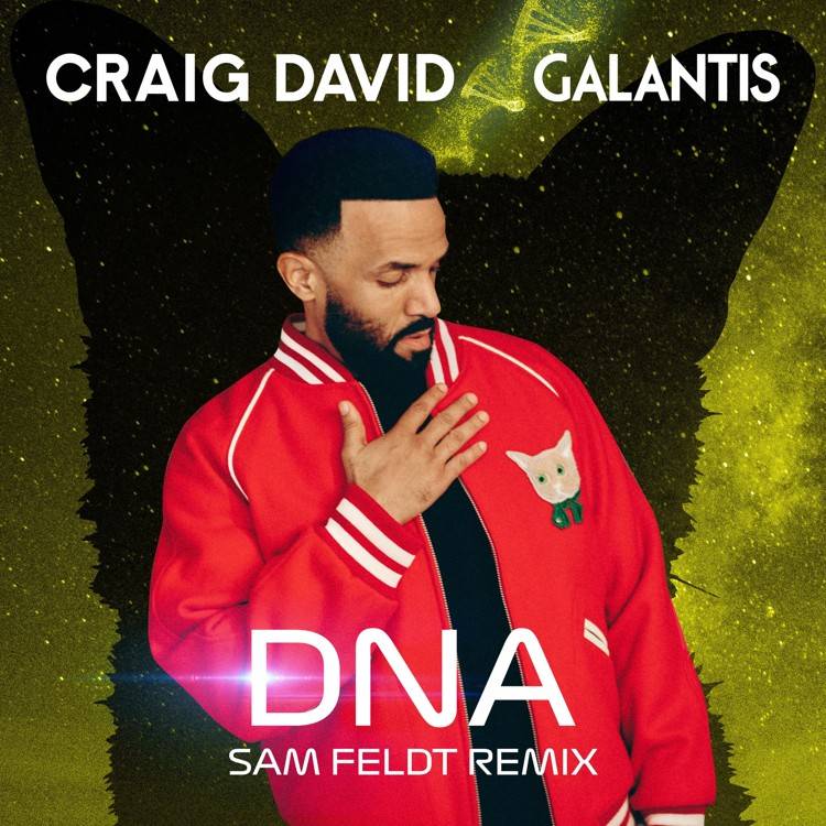 DNA (Sam Feldt Remix)