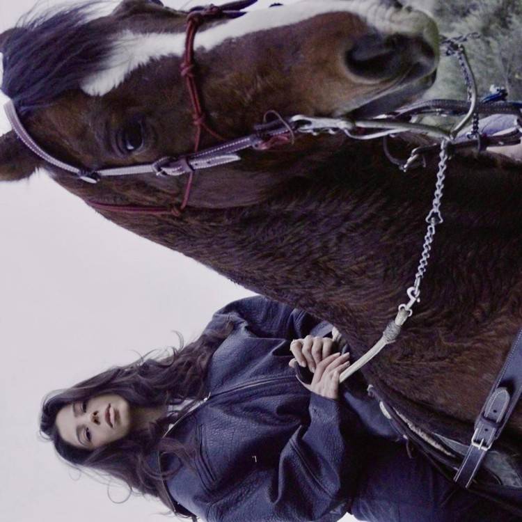 WILD HORSES - Single