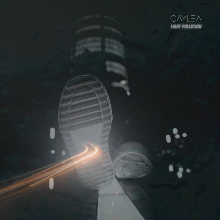 light pollution (city lights)