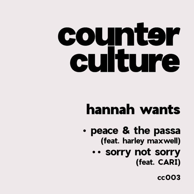 peace & the passa / sorry not sorry - Single