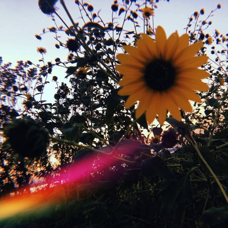 All the Time - Single