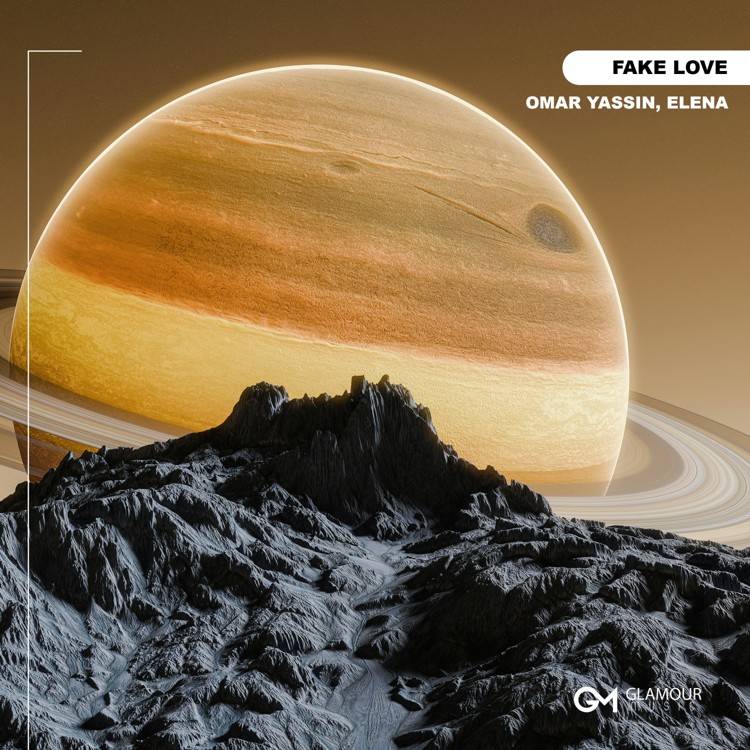 Fake Love - Single