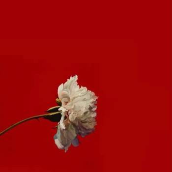 Luv Interlude - Single