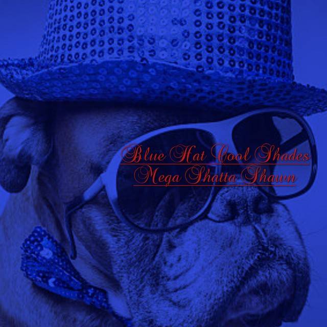 Blue Hat Cool Shades