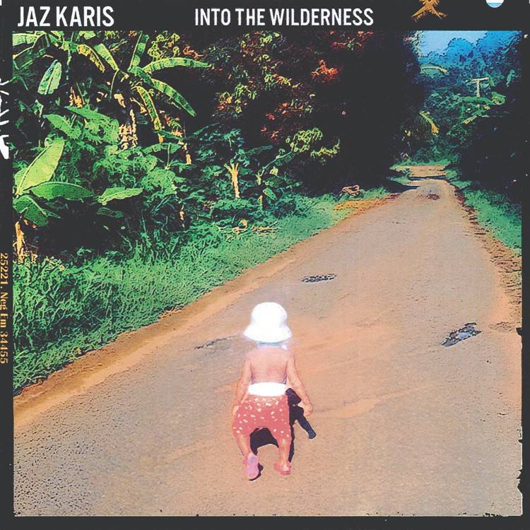 Into the Wilderness - EP