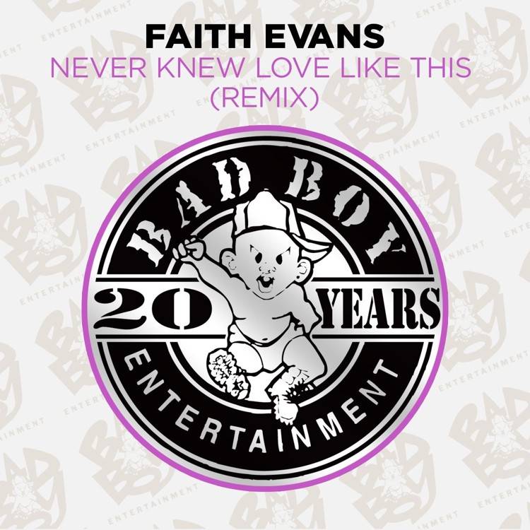Never Knew Love Like This (Remix)