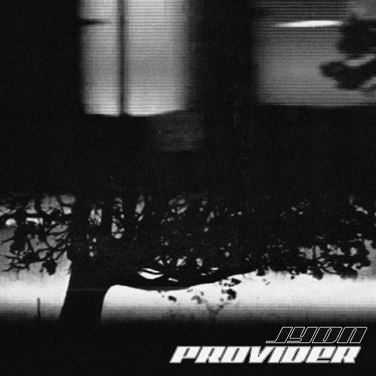 Provider - Single