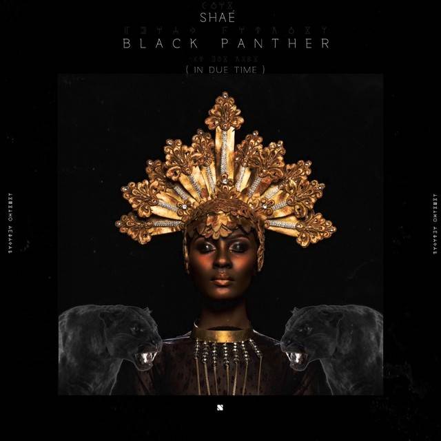 Black Panther (In Due Time)