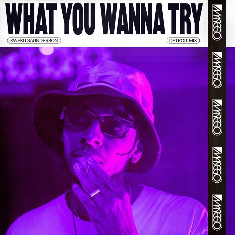 What You Wanna Try (Kweku Saunderson Detroit Mix) - Single