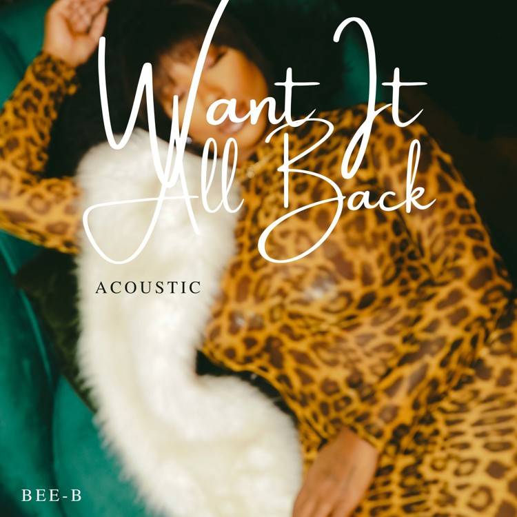 Want It All Back (Acoustic) - Single