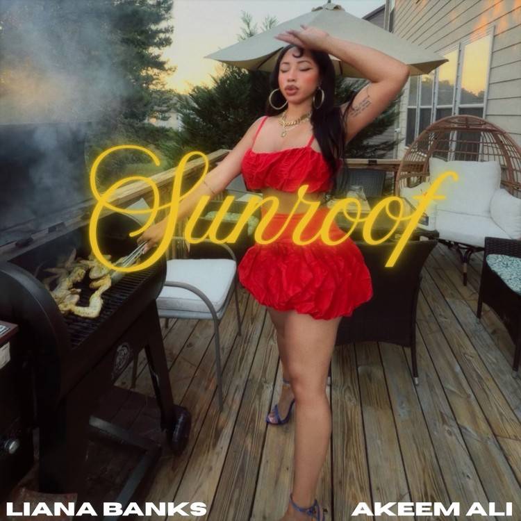 Sunroof (feat. Akeem Ali) - Single