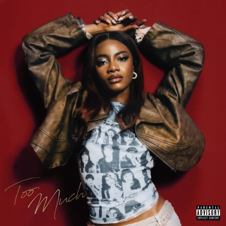Too Much - Single