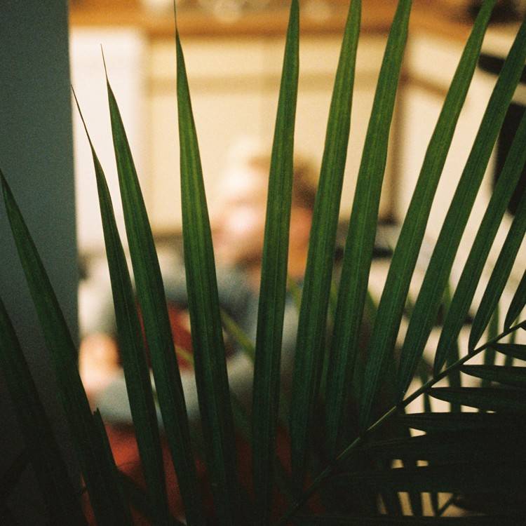 Need It (Use Some Love)