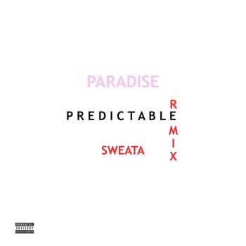 Predictable (Remix) - Single