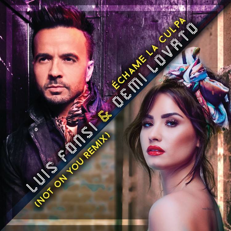 Échame La Culpa (Not On You Remix) - Single