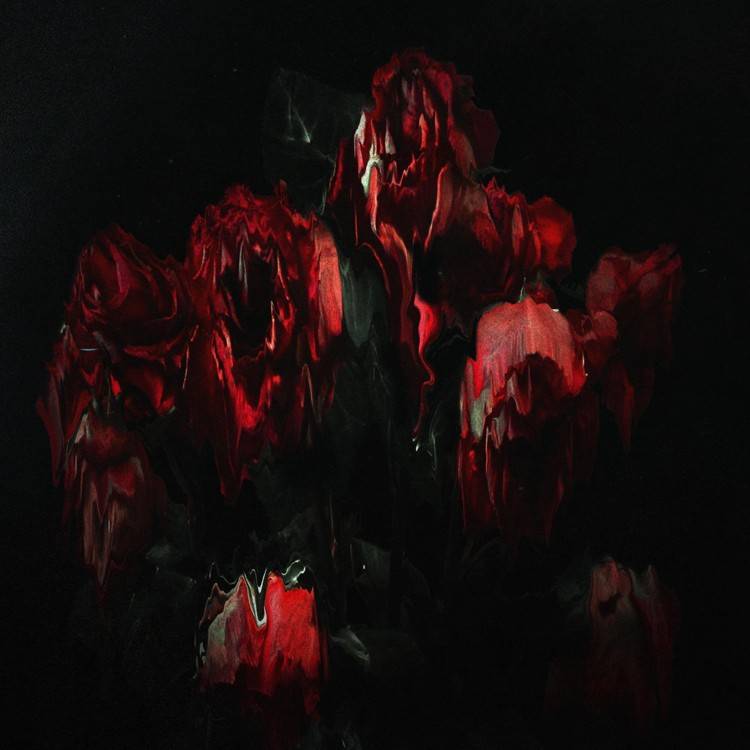 Petals