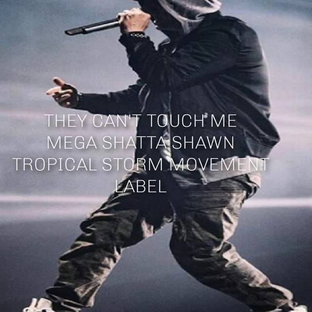 They Can't Touch Me