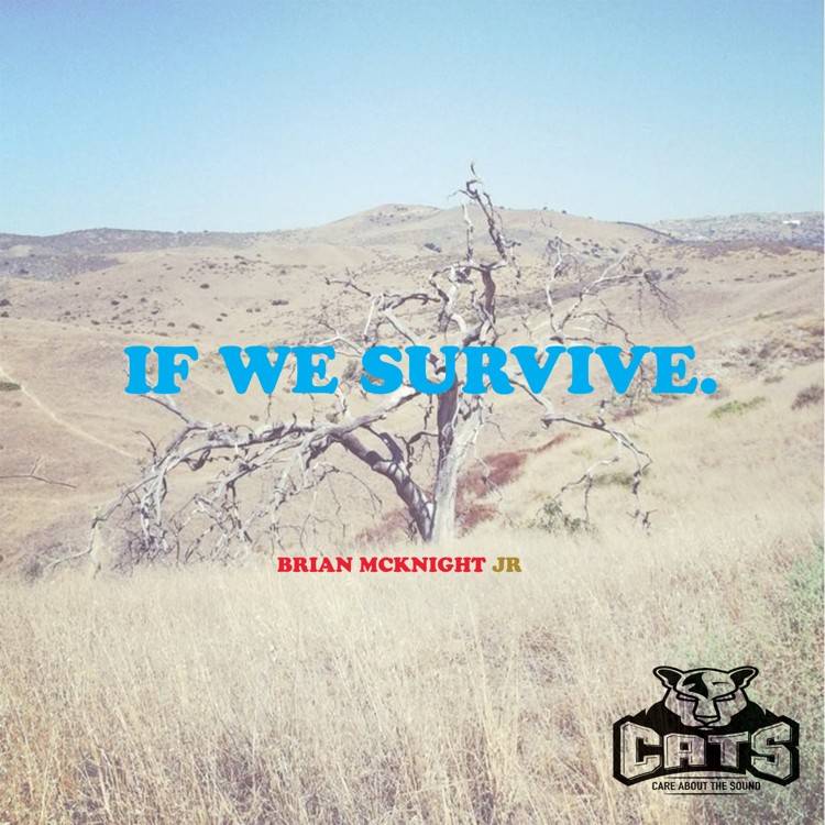 If We Survive