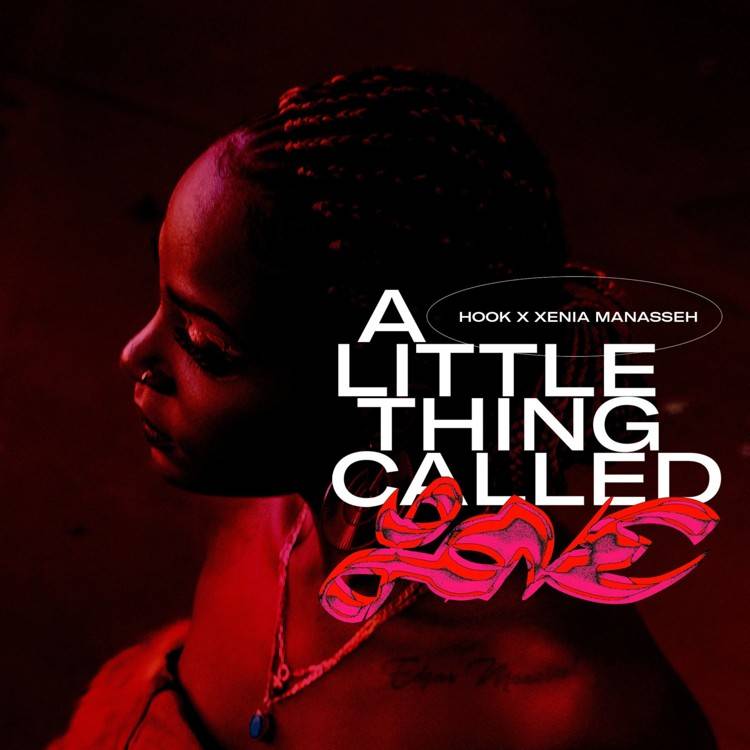 A Little Thing Called Love - Single