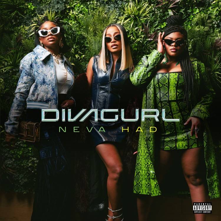 Neva Had (feat. Diva Gurl) - Single