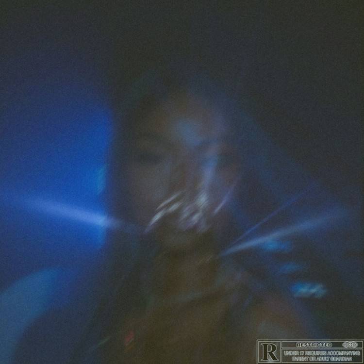 Night Rider, Vol.2