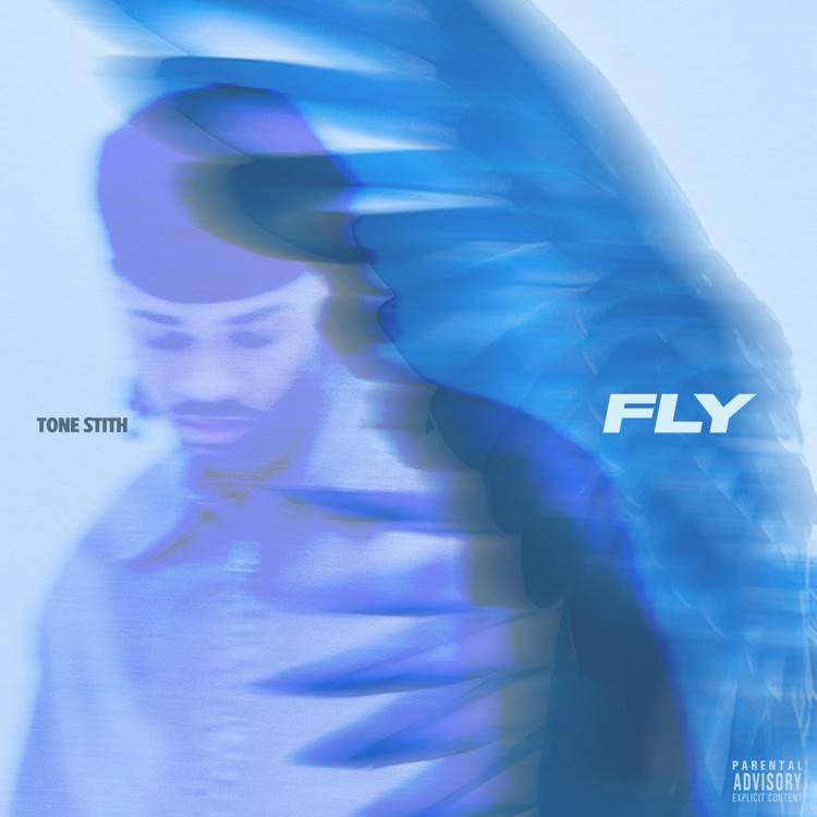 Fly - Single
