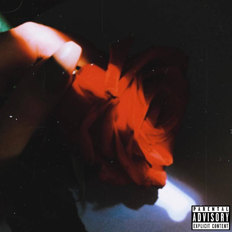 Backwards - Single