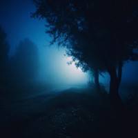 escapism - Single