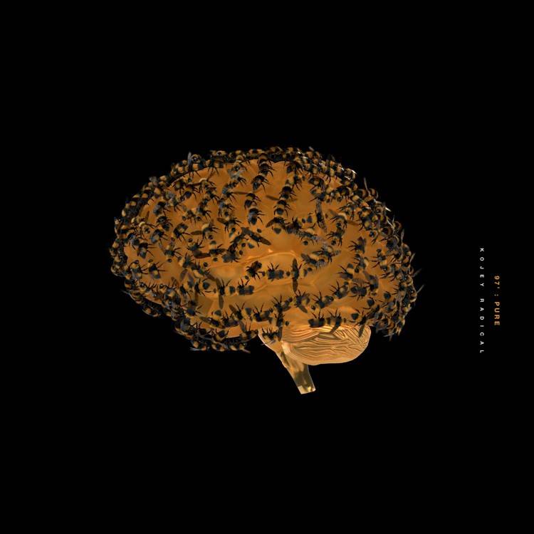 97' : Pure - Single