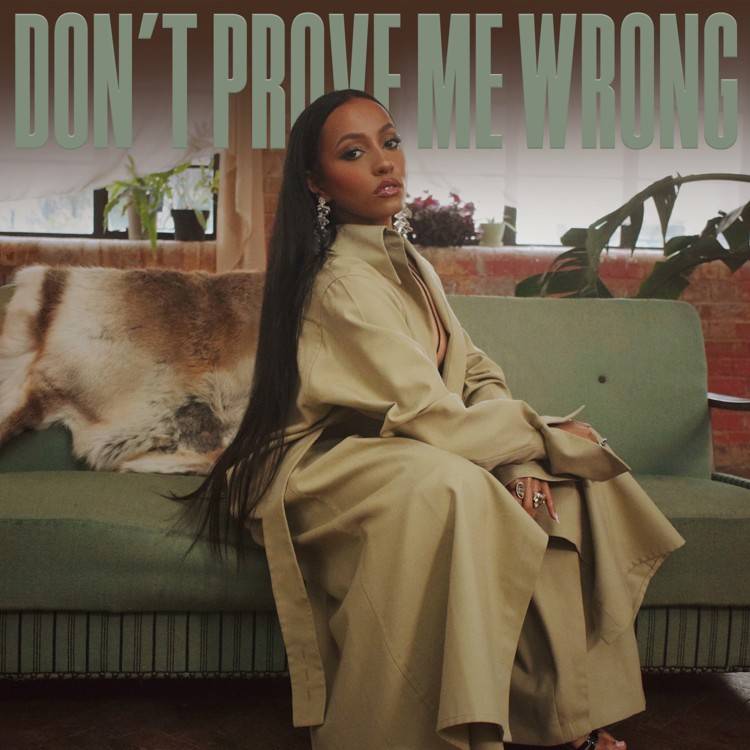 Don't Prove Me Wrong - Single