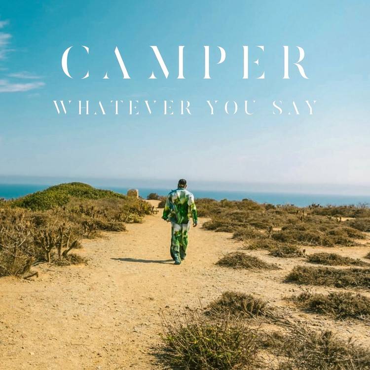Whatever You Say - Single