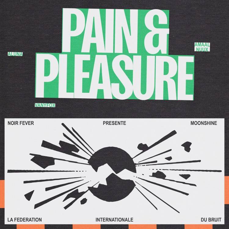 Pain & Pleasure (feat. VANYFOX & Fédération Internationale du Bruit) - Single