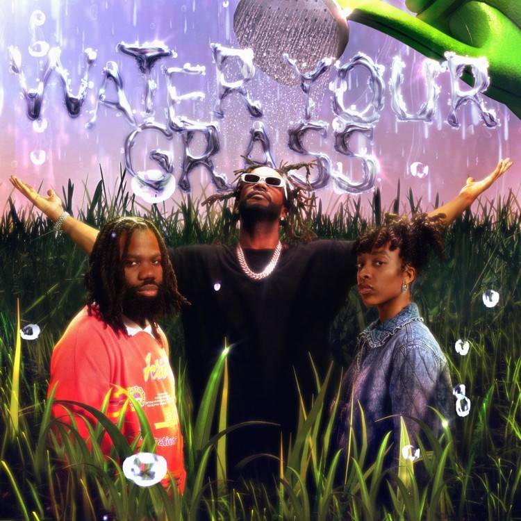 Water Your Grass
