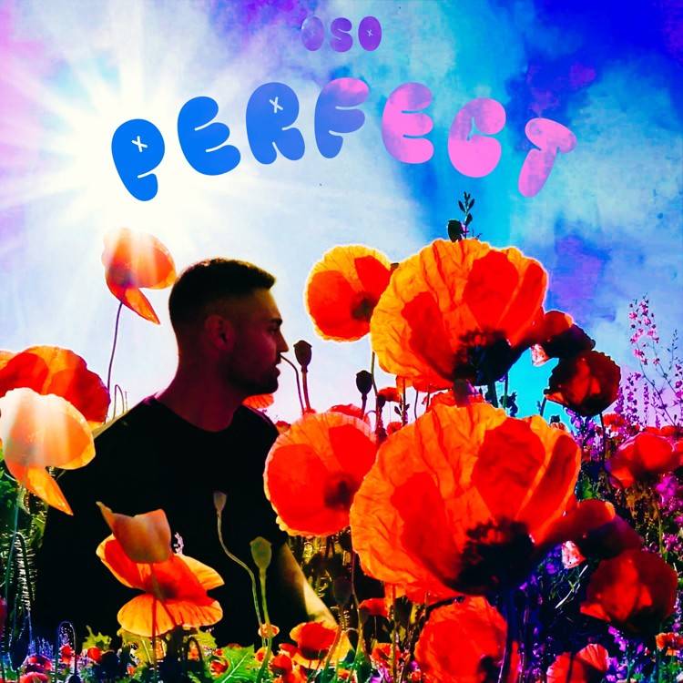 Perfect - Single