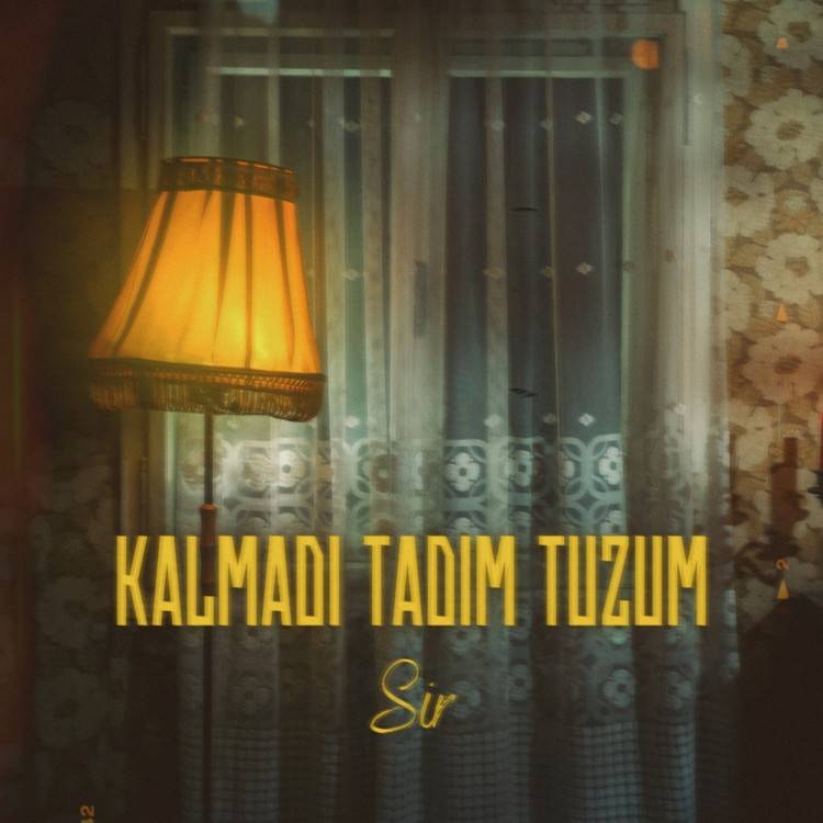 Kalmadı Tadım Tuzum - Single
