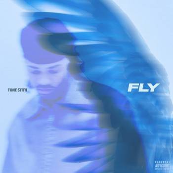 Fly - Single