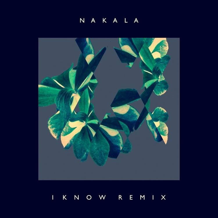 I Know (ayo. & .disfnk Remix) - Single
