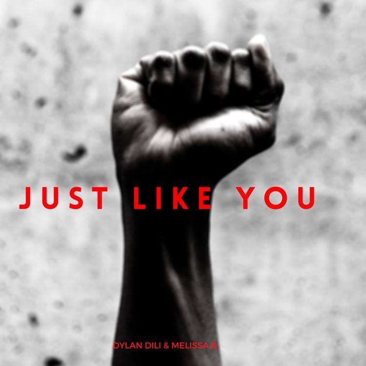 Just Like You - Single