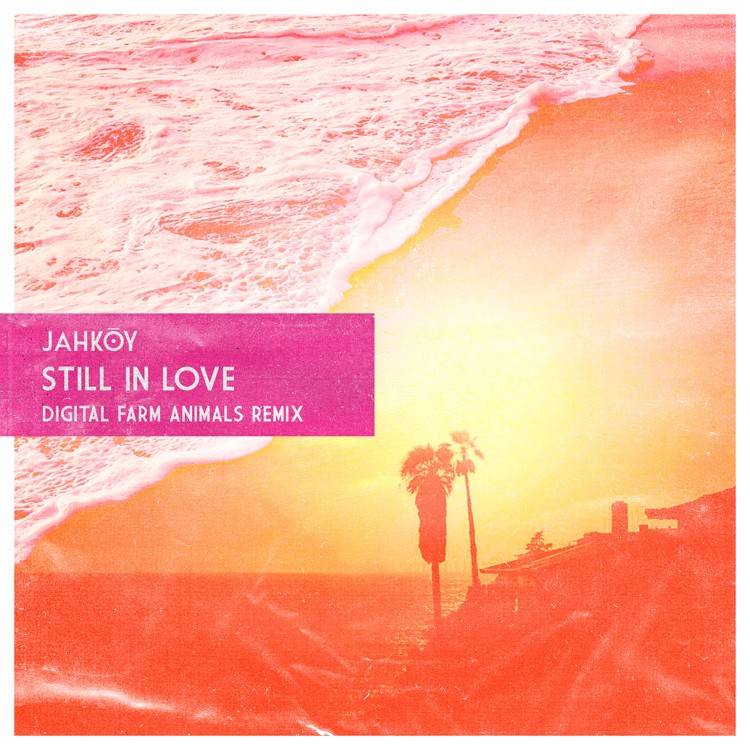 Still in Love (Digital Farm Animals Remix) - Single