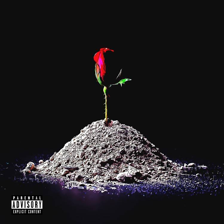 Flowers Freestyle