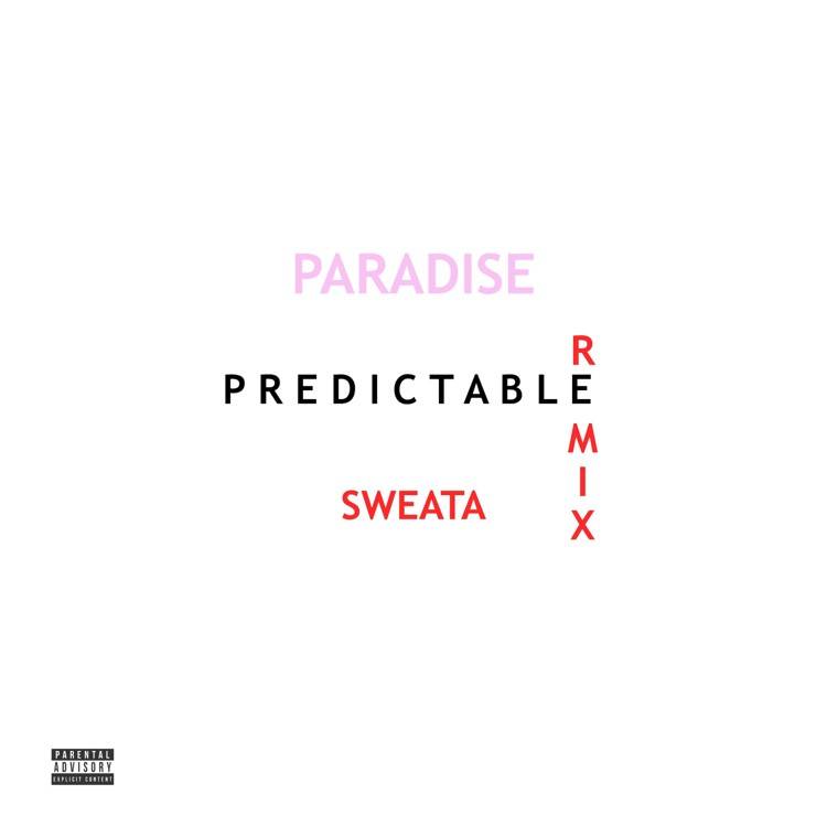 Predictable (Remix) - Single