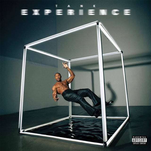 EXPERIENCE