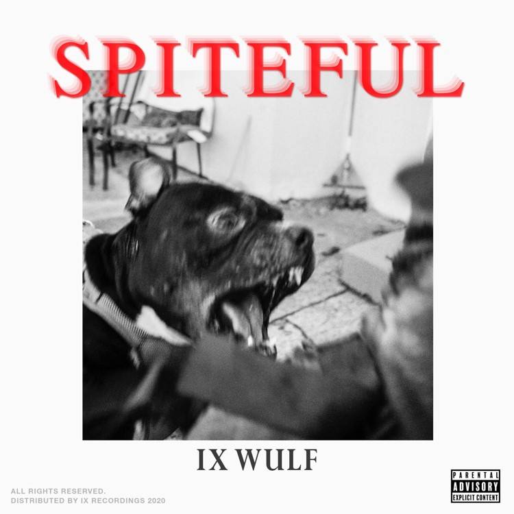 Spiteful - Single