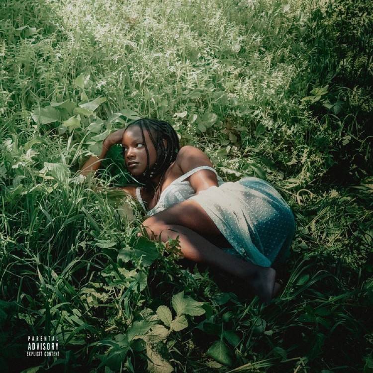 toes in the grass - Single