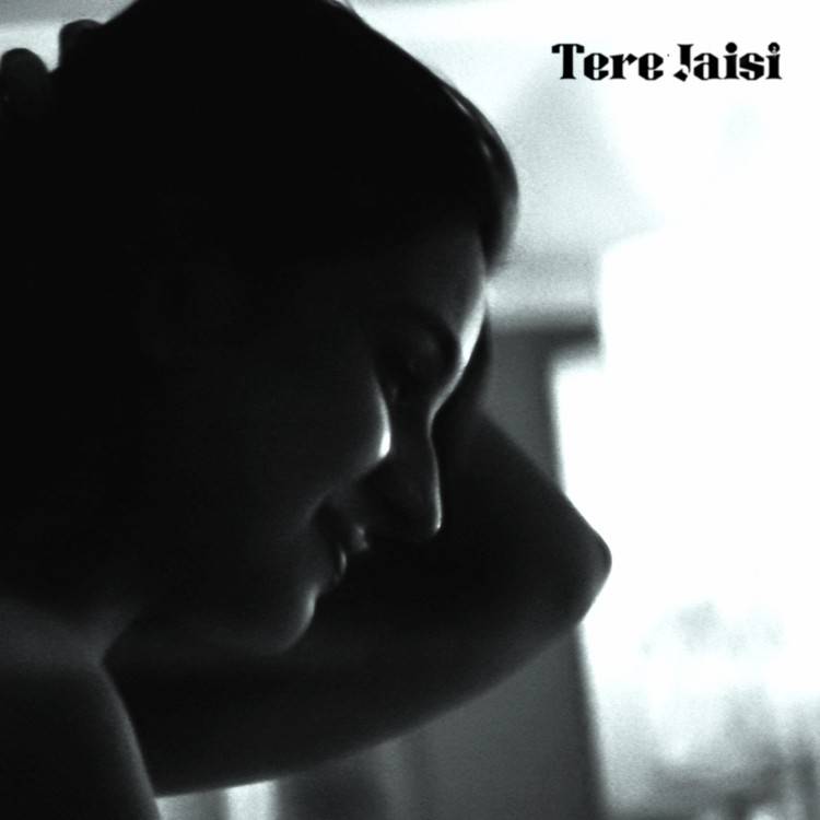 Tere Jaisi - Single