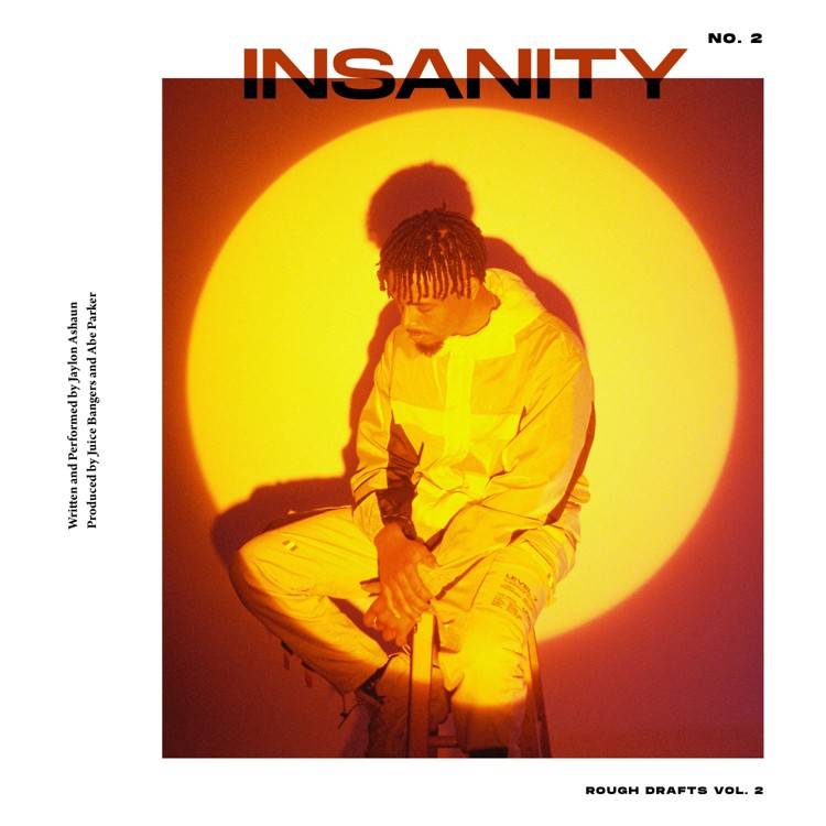 Insanity (Rough Draft)