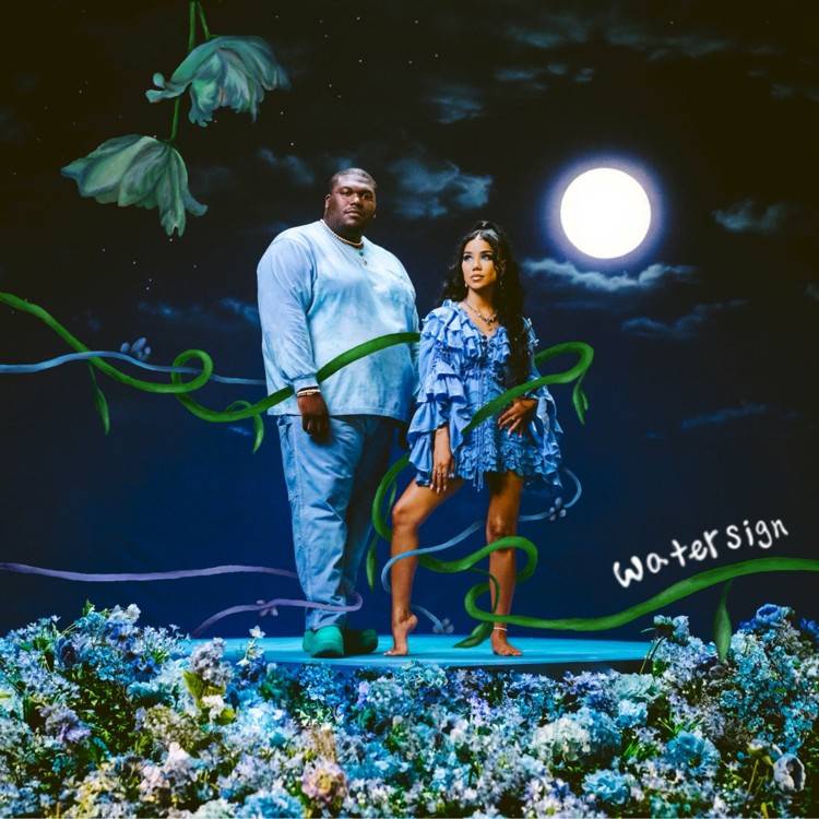 Water Sign - Single