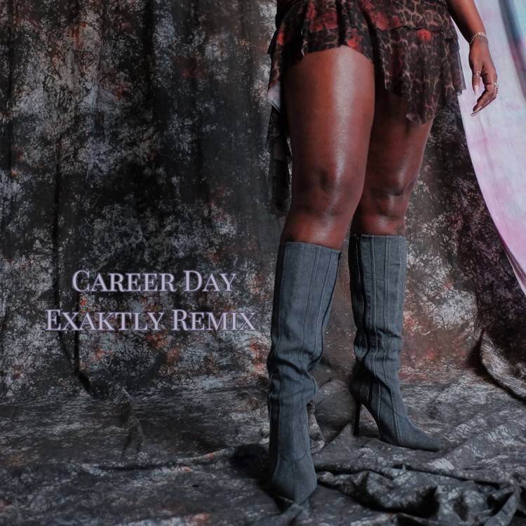 career day (Exaktly remix) - Single