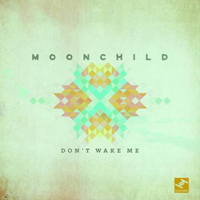 Don't Wake Me - Single