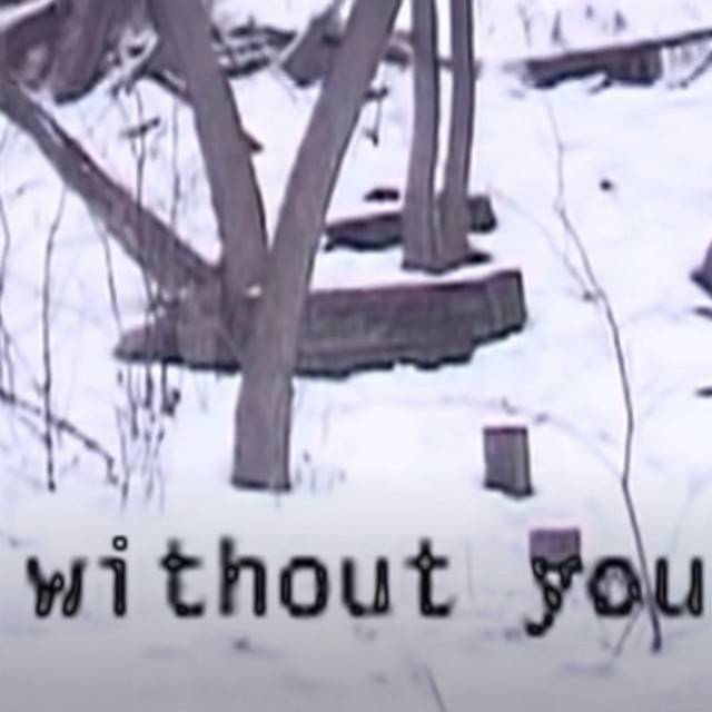 Without You